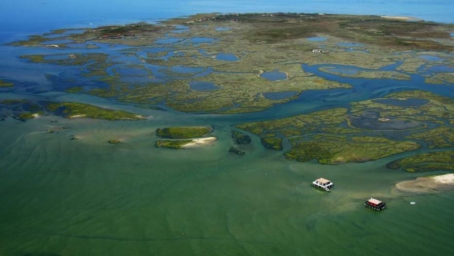 Lou Cachotte Διαμέρισμα Le Teich Εξωτερικό φωτογραφία